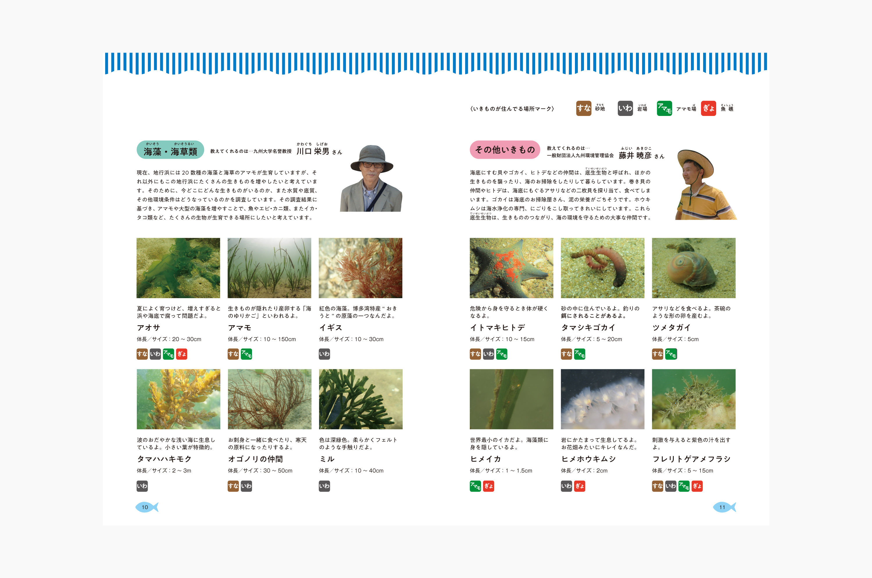 地行浜いきものプロジェクト