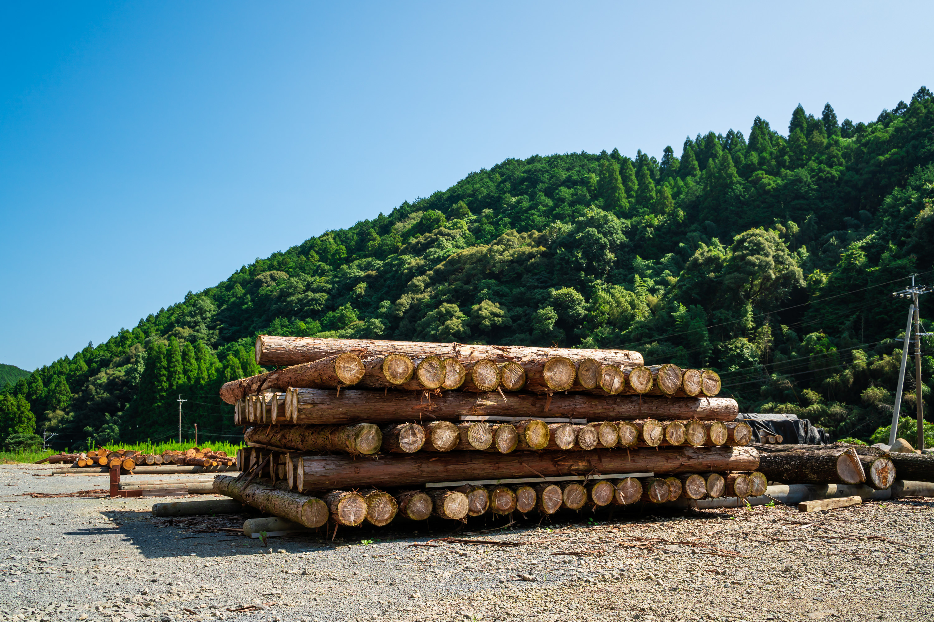 ROOT office furniture