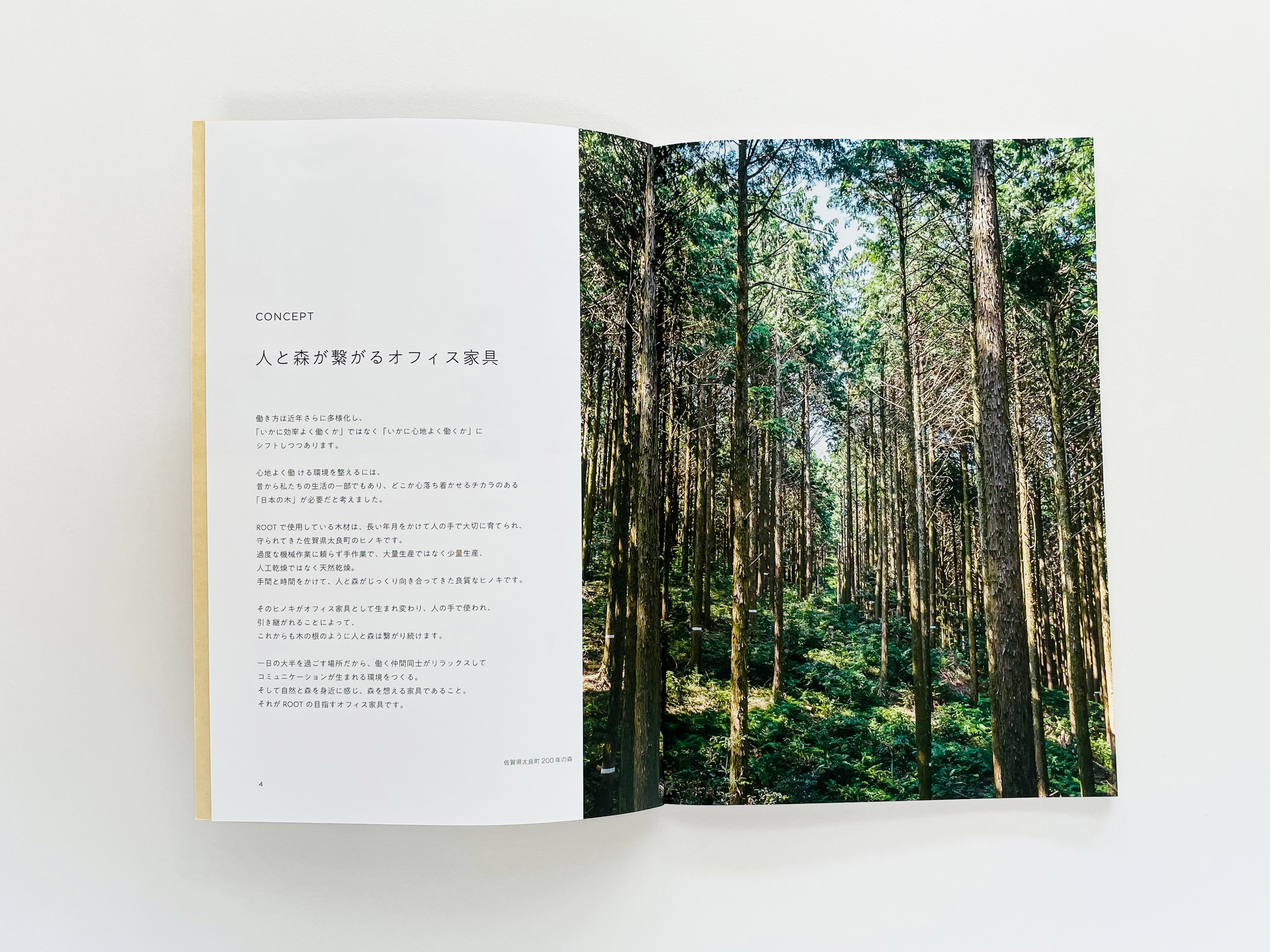 ROOT office furniture