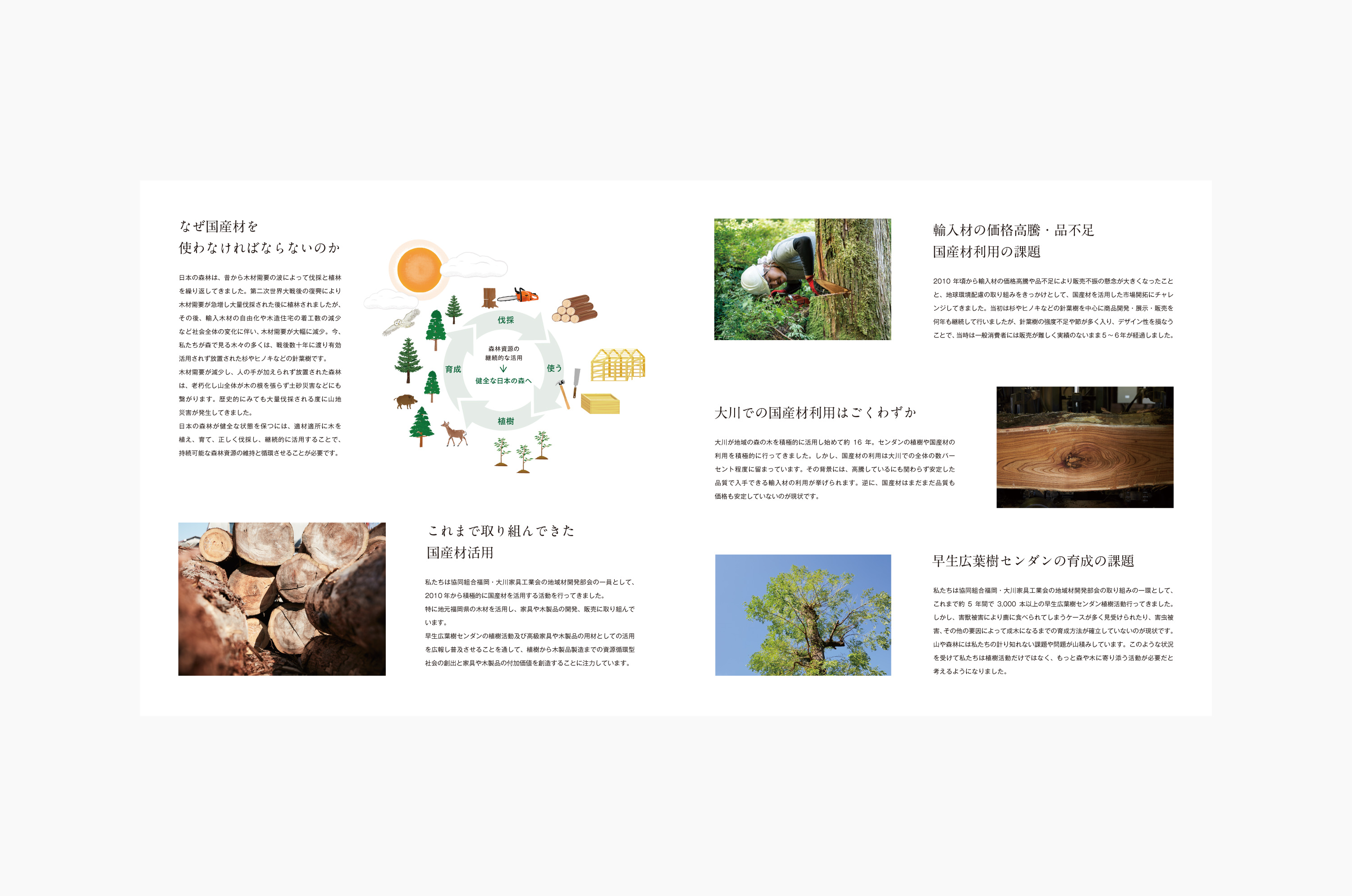 一般社団法人大川スタンドバイツリー